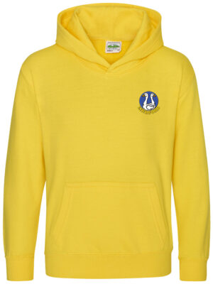 Youth Hoodies (LPC)