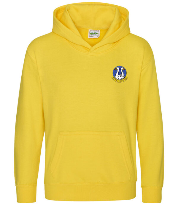 Youth Hoodies (LPC)